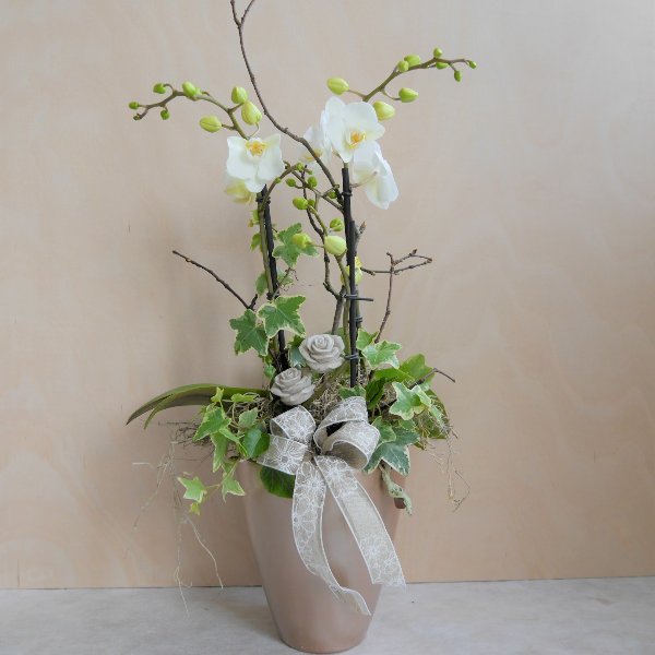 Orchidee mit Steinrosen Bild 1