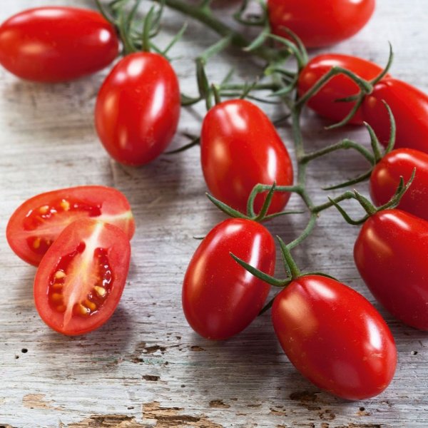 Pflaumen-Kirsch-Tomate Rot Bild 2